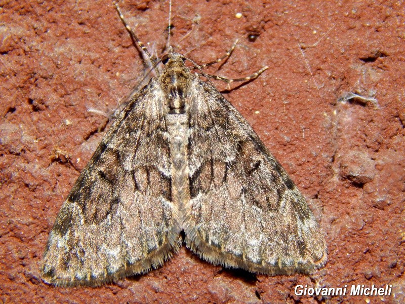 Thera britannica??? S